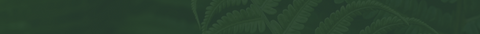 Mobile Banner Image